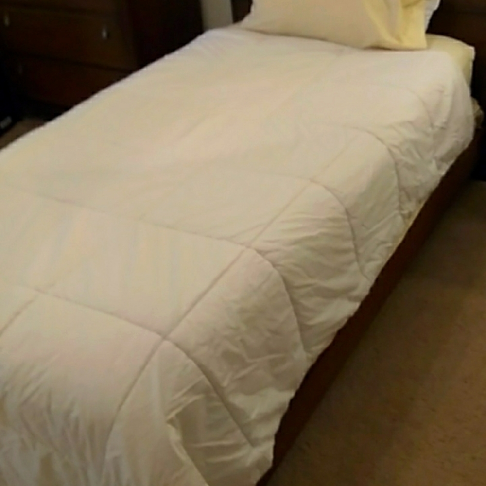 Pottery Barn kids/teen white/cream comforter or duvet insert. Twin